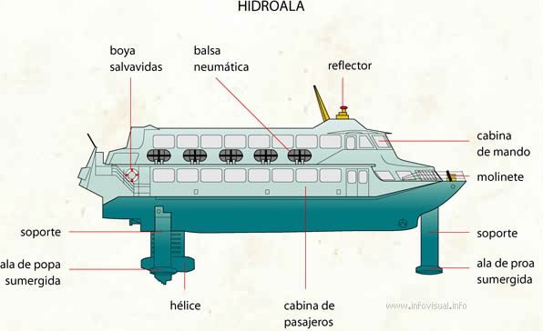 Hidroala (Diccionario visual)